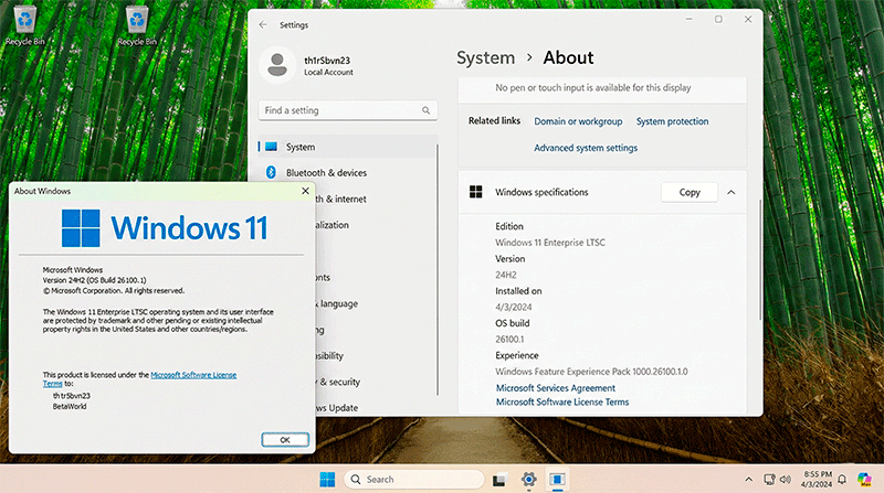 Windows-11-24H2-LTSC