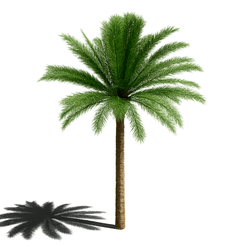 Smart-Palm-Street_CasoÉxito