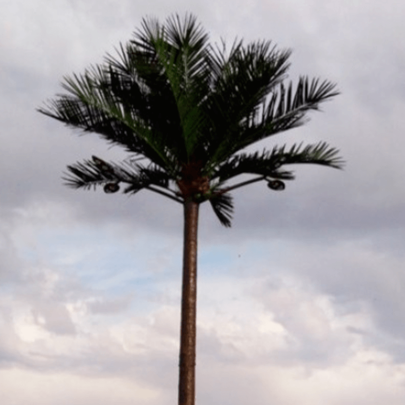 Smart-Palm-Tree_4