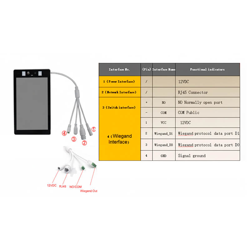 Conexiones del terminal eCM CT-8201 de 8” con reconocimiento facial y detección térmica, preciso y rápido, ideal para hospitales, aeropuertos y espacios públicos